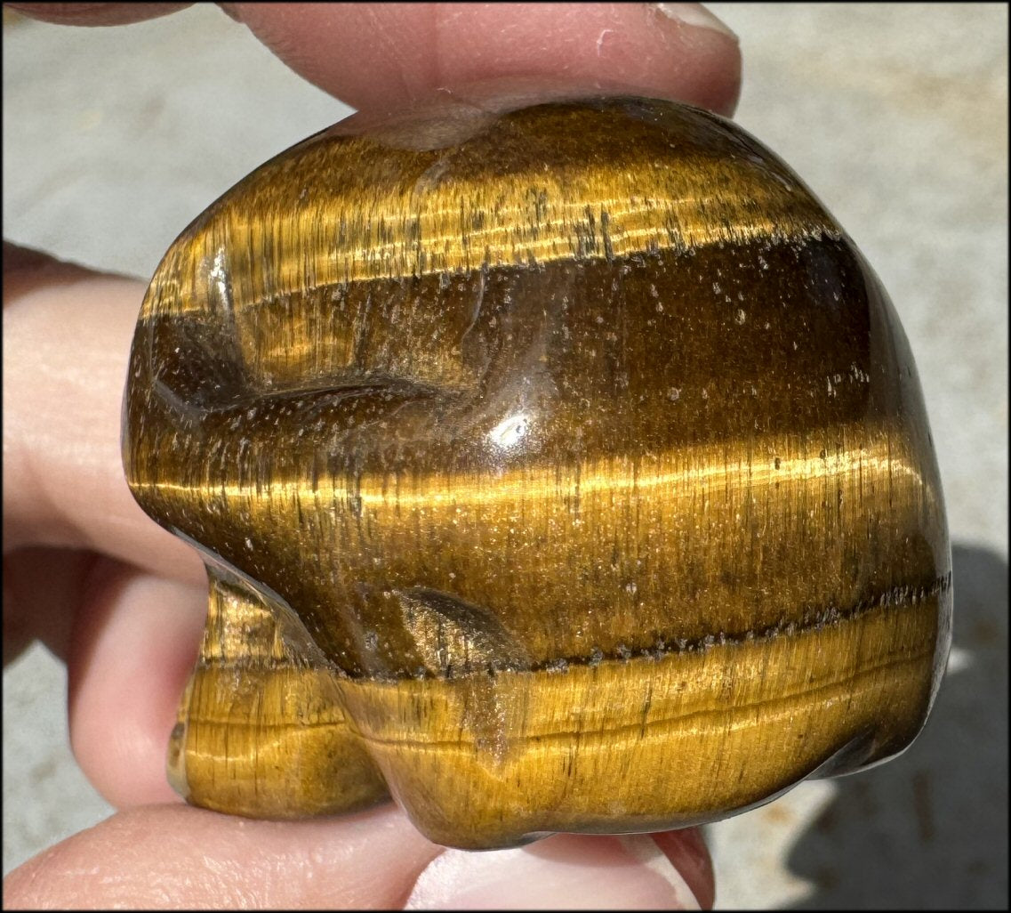 ~Fantastic SHIMMER~ Golden Tiger Eye CRYSTAL SKULL - with Synergy 14+ years