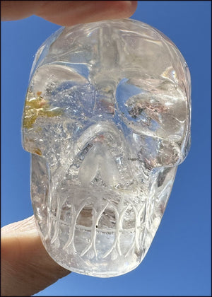 Brazilian QUARTZ Crystal Skull with Golden Healer Hematite - with Synergy 15+ years