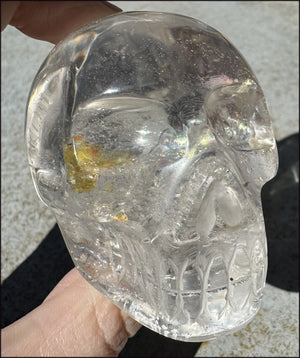 Brazilian QUARTZ Crystal Skull with Golden Healer Hematite - with Synergy 15+ years