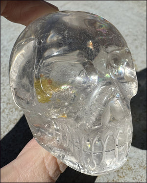 Brazilian QUARTZ Crystal Skull with Golden Healer Hematite - with Synergy 15+ years