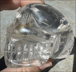 Brazilian QUARTZ Crystal Skull with Golden Healer Hematite - with Synergy 15+ years