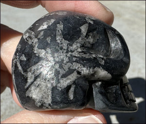 CHRYSANTHEMUM STONE Crystal Skull - Synchronicity, Harmony - with Synergy 7+ years