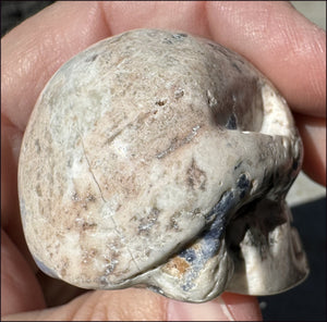 Weird SODALITE Crystal Skull - Connect Head+Heart - with Synergy 15+ years