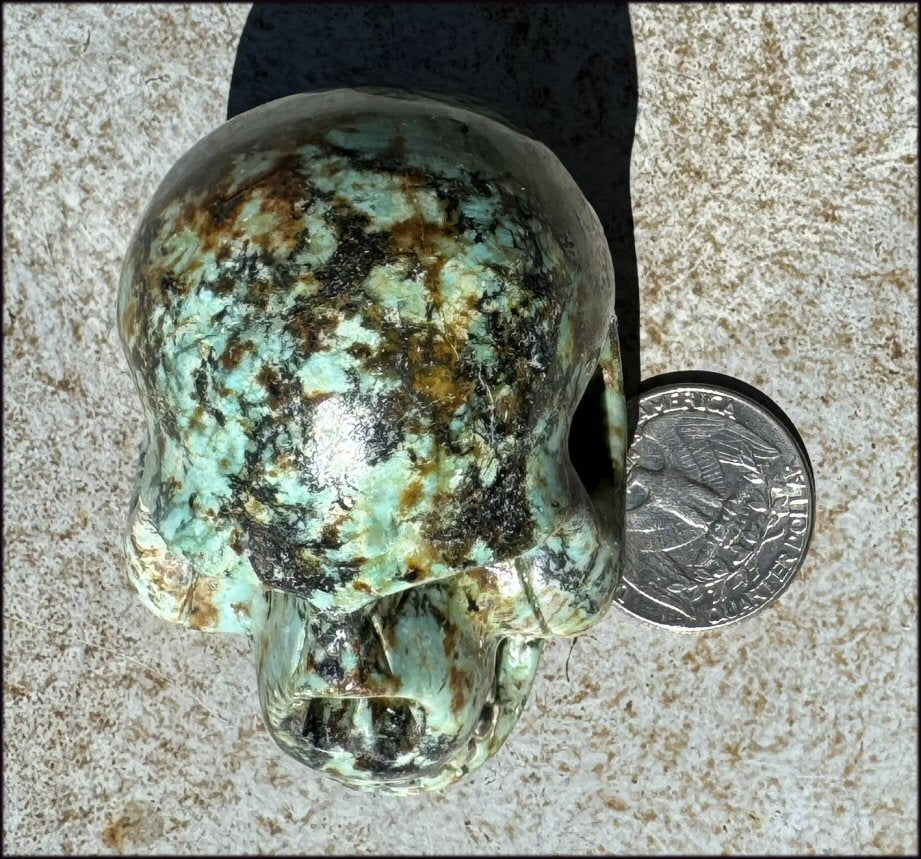 Lg. Turquoise CRYSTAL SKULL - Enhance Mind+Heart Connection