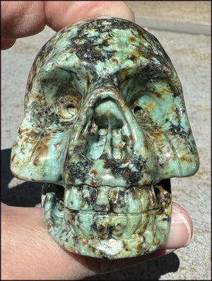 Lg. Turquoise CRYSTAL SKULL - Enhance Mind+Heart Connection