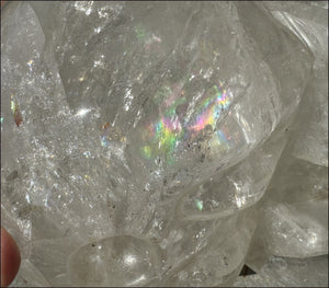 LifeSize Himalayan Quartz Crystal Skull with Multi-Colored Hematite, Fantastic Shimmery Rainbows! - Just over 8lbs