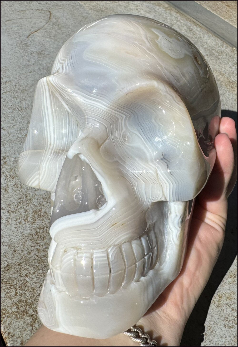 LifeSize Madagascar AGATE Crystal Skull with Fantastic Banding, Bi-Colored Dendritic inclusions