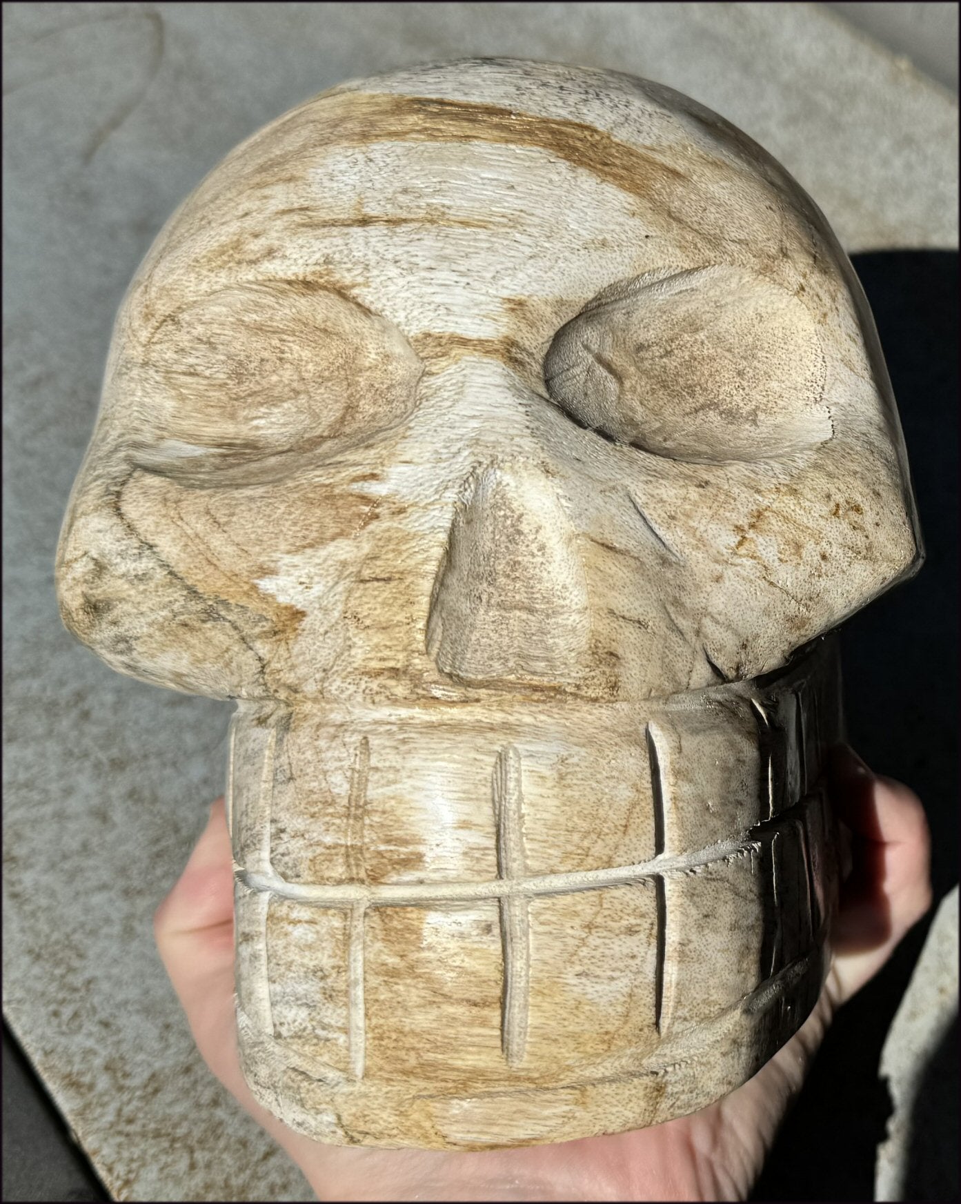 LifeSize Petrified Wood CRYSTAL SKULL - Past Life Work, Stabilizing