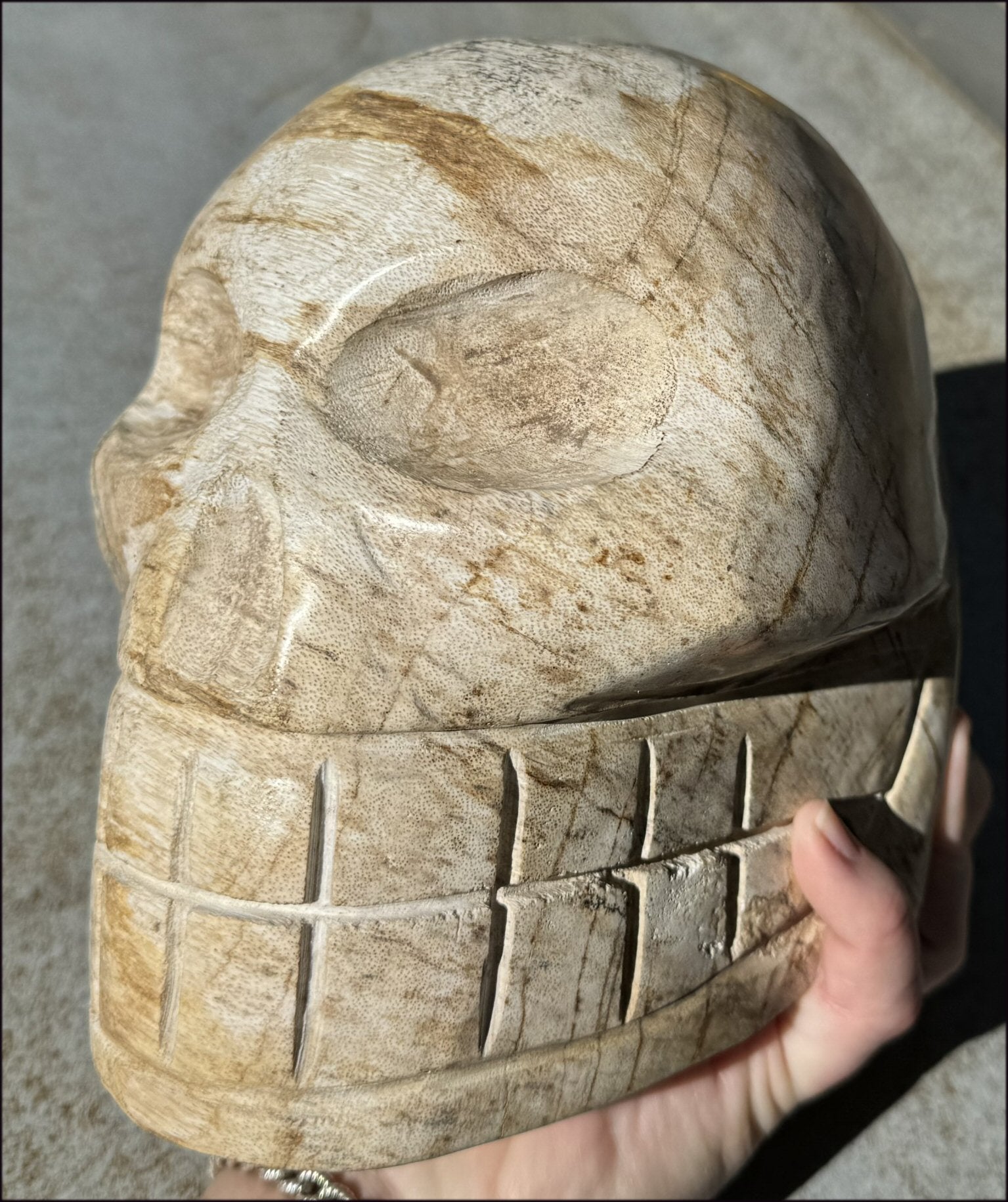 LifeSize Petrified Wood CRYSTAL SKULL - Past Life Work, Stabilizing