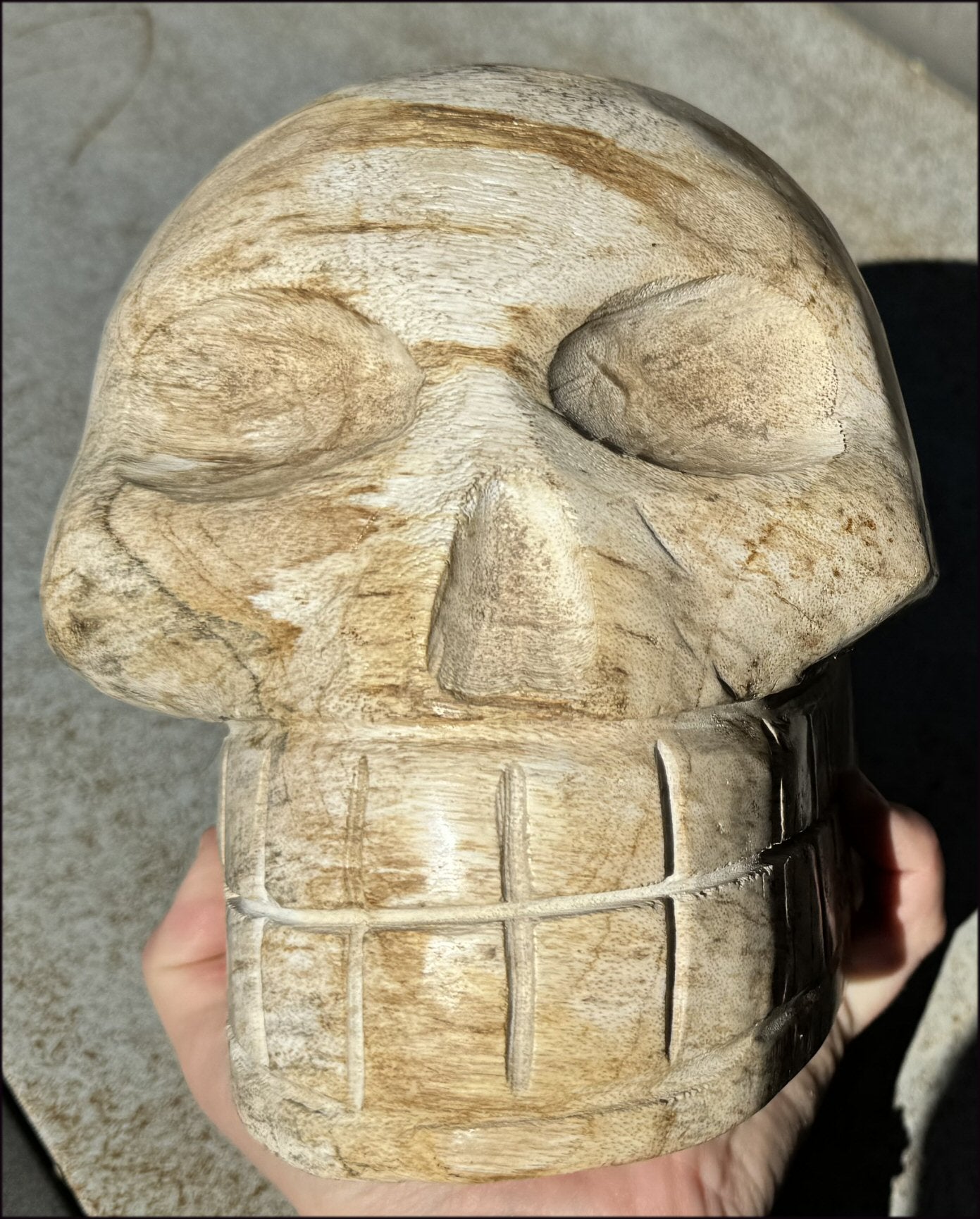 LifeSize Petrified Wood CRYSTAL SKULL - Past Life Work, Stabilizing