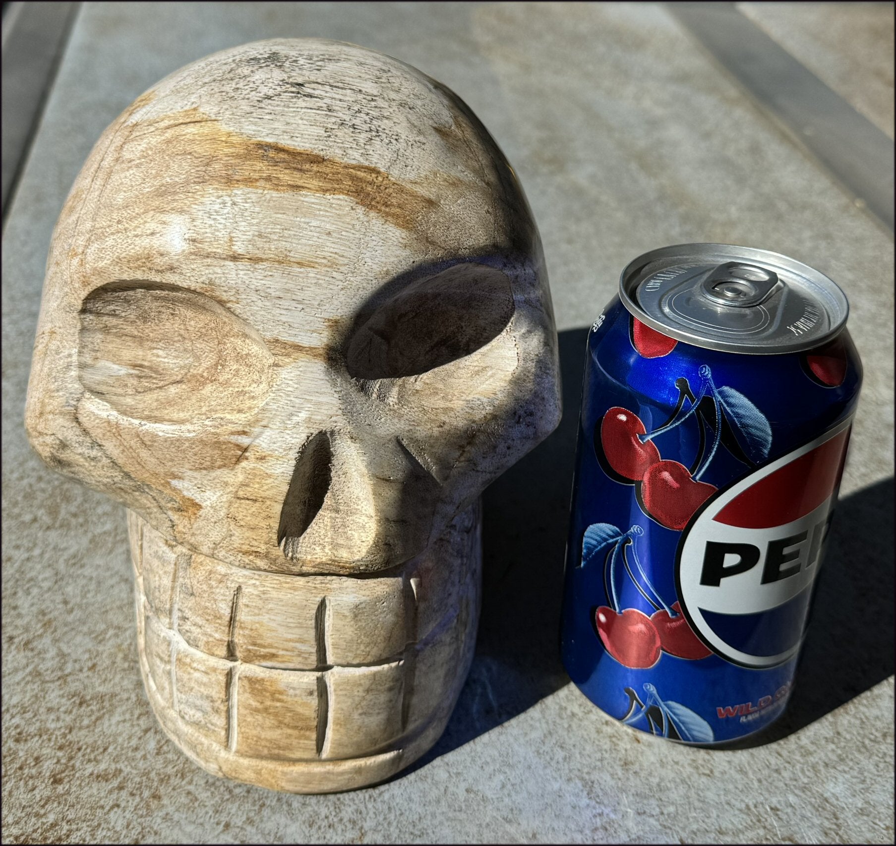 LifeSize Petrified Wood CRYSTAL SKULL - Past Life Work, Stabilizing