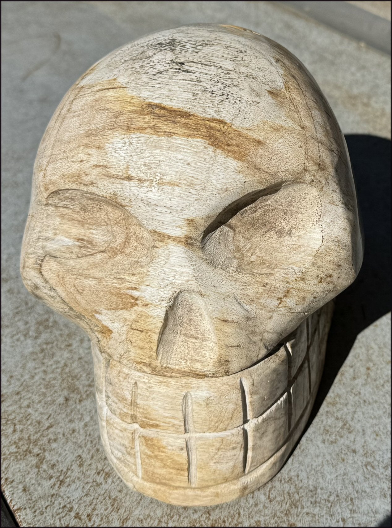 LifeSize Petrified Wood CRYSTAL SKULL - Past Life Work, Stabilizing