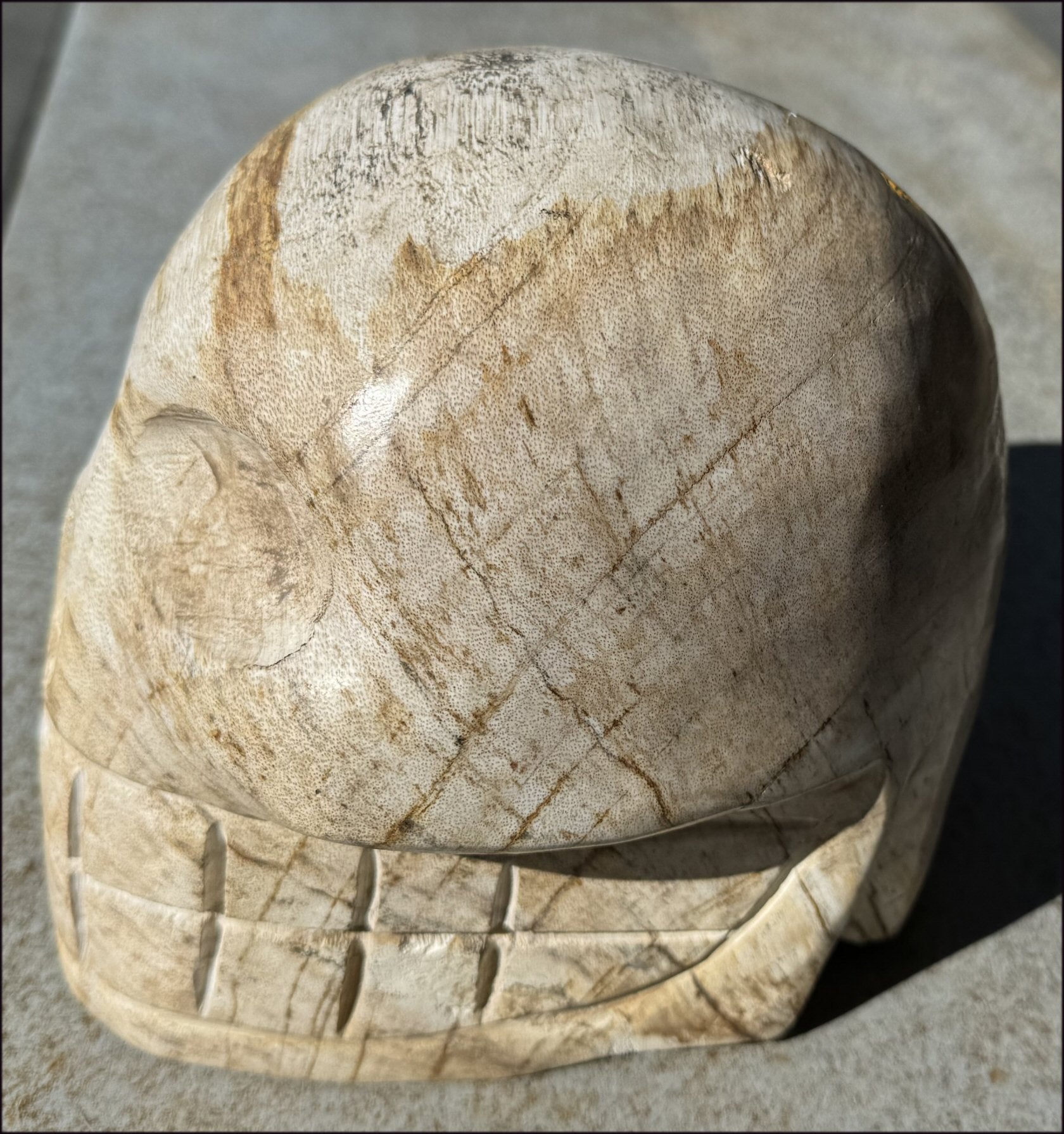 LifeSize Petrified Wood CRYSTAL SKULL - Past Life Work, Stabilizing