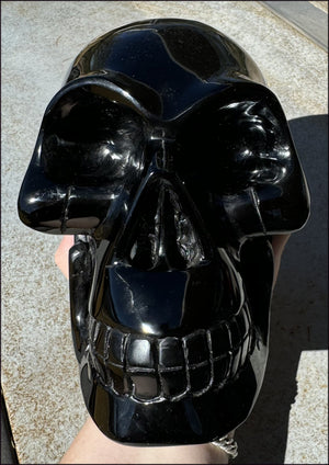 LifeSize BLACK OBSIDIAN Crystal Skull - Protection, Grounding - 10lbs+