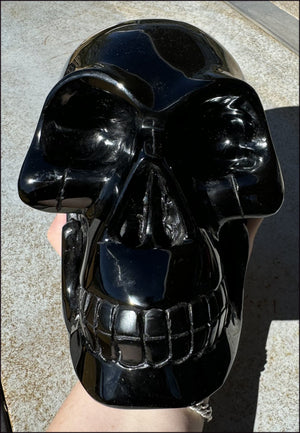 LifeSize BLACK OBSIDIAN Crystal Skull - Protection, Grounding - 10lbs+