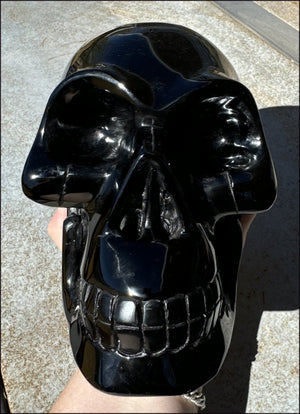 LifeSize BLACK OBSIDIAN Crystal Skull - Protection, Grounding - 10lbs+