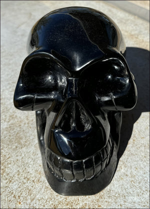 LifeSize BLACK OBSIDIAN Crystal Skull - Protection, Grounding - 10lbs+