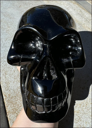 LifeSize BLACK OBSIDIAN Crystal Skull - Protection, Grounding - 10lbs+