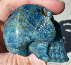 ~Unusual!~ Blue APATITE Crystal Skull - Throat Chakra, Inner Peace