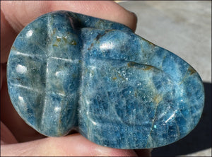 ~Unusual!~ Blue APATITE Crystal Skull - Throat Chakra, Inner Peace