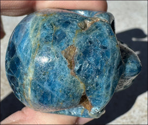 ~Unusual!~ Blue APATITE Crystal Skull - Throat Chakra, Inner Peace