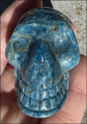 ~Unusual!~ Blue APATITE Crystal Skull - Throat Chakra, Inner Peace