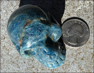 ~Unusual!~ Blue APATITE Crystal Skull - Throat Chakra, Inner Peace