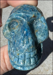 ~Unusual!~ Blue APATITE Crystal Skull - Throat Chakra, Inner Peace