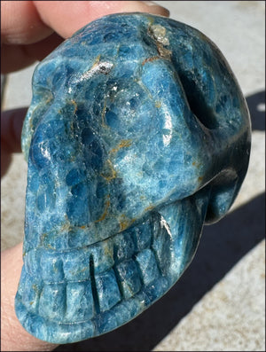 ~Unusual!~ Blue APATITE Crystal Skull - Throat Chakra, Inner Peace