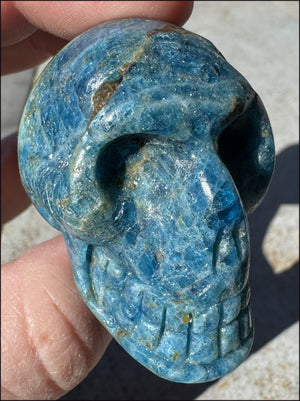 ~Unusual!~ Blue APATITE Crystal Skull - Throat Chakra, Inner Peace