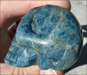 ~Unusual!~ Blue APATITE Crystal Skull - Throat Chakra, Inner Peace