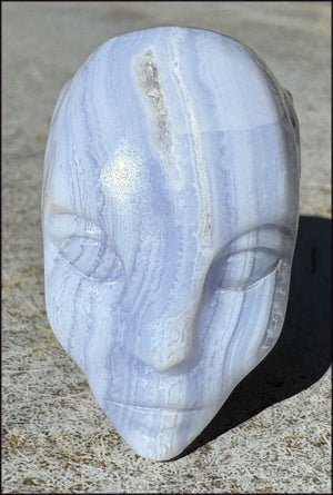 Blue Lace Agate FAE / Sidhe Crystal Skull - Only a few left!