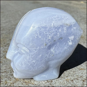 Blue Lace Agate FAE / Sidhe Crystal Skull - Only a few left!