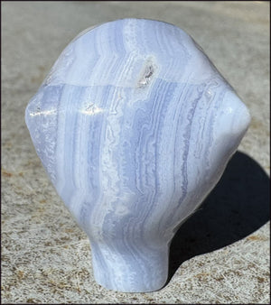 Blue Lace Agate FAE / Sidhe Crystal Skull - Only a few left!