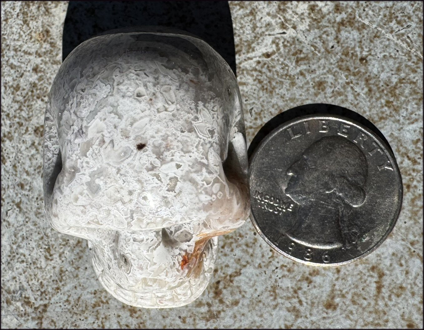 ~Extra Lacy~ Crazy Lace Agate CRYSTAL SKULL - Divination, Focus