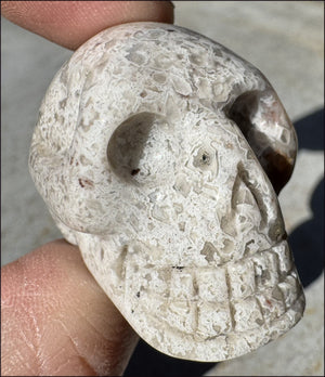 ~Extra Lacy~ Crazy Lace Agate CRYSTAL SKULL - Divination, Focus