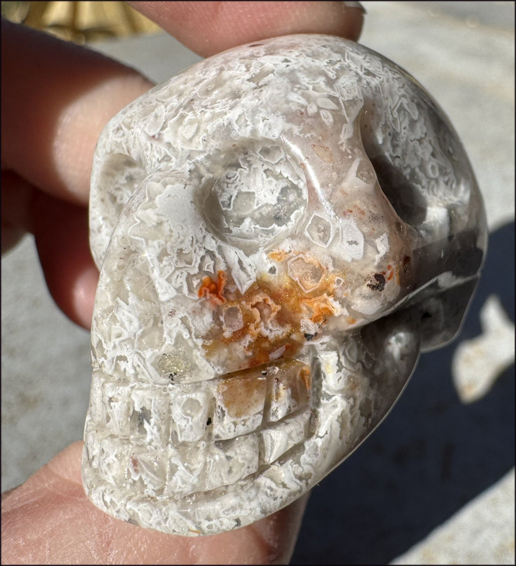 ~Extra Lacy~ Crazy Lace Agate CRYSTAL SKULL - Divination, Focus