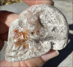 ~Extra Lacy~ Crazy Lace Agate CRYSTAL SKULL - Divination, Focus