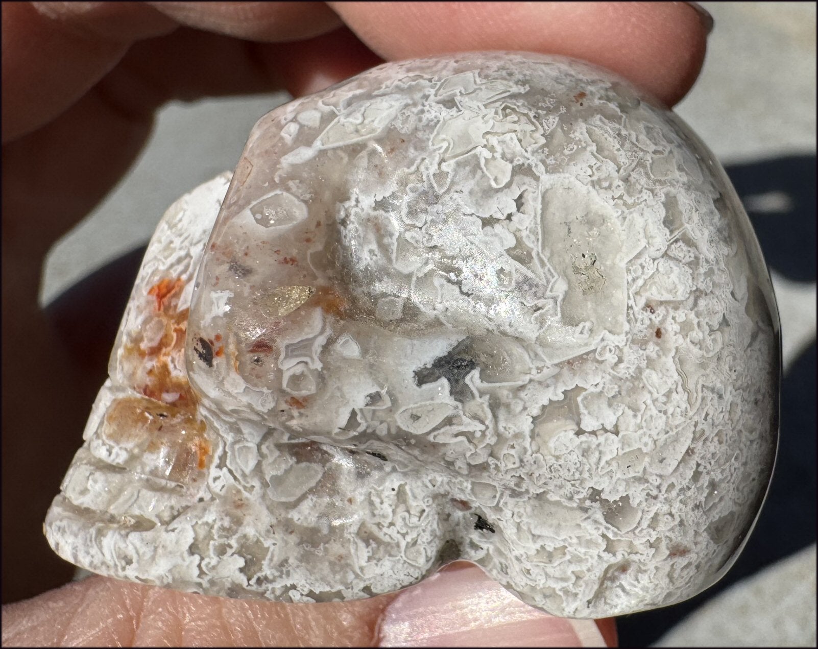 ~Extra Lacy~ Crazy Lace Agate CRYSTAL SKULL - Divination, Focus