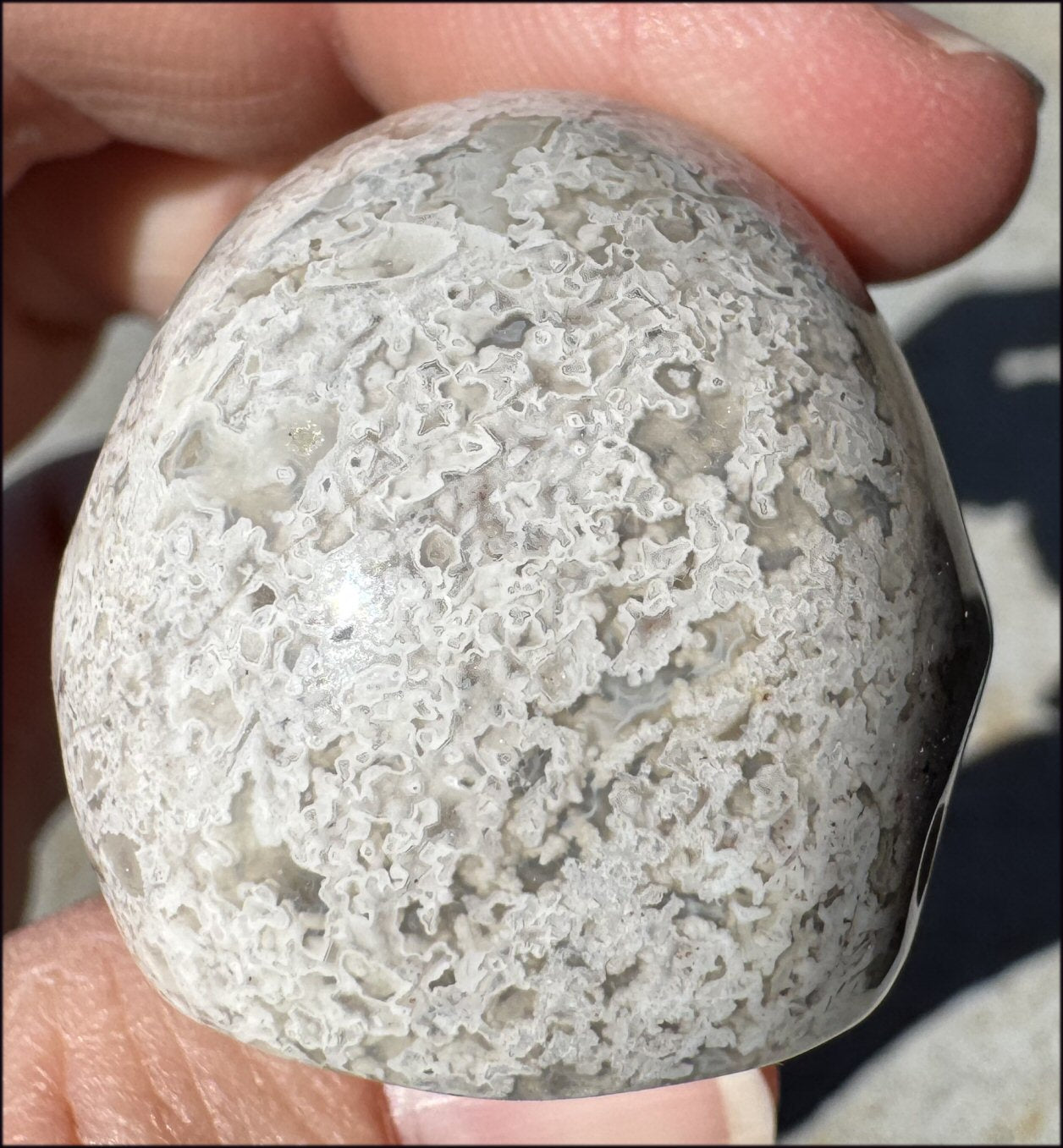 ~Extra Lacy~ Crazy Lace Agate CRYSTAL SKULL - Divination, Focus