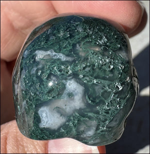 Moss Agate CRYSTAL SKULL - Abundance, Stone of Gardeners - with Synergy 9+ years