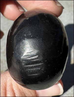 ~Rare!~ SHUNGITE Collector's Crystal Skull - Vitality, Grounding