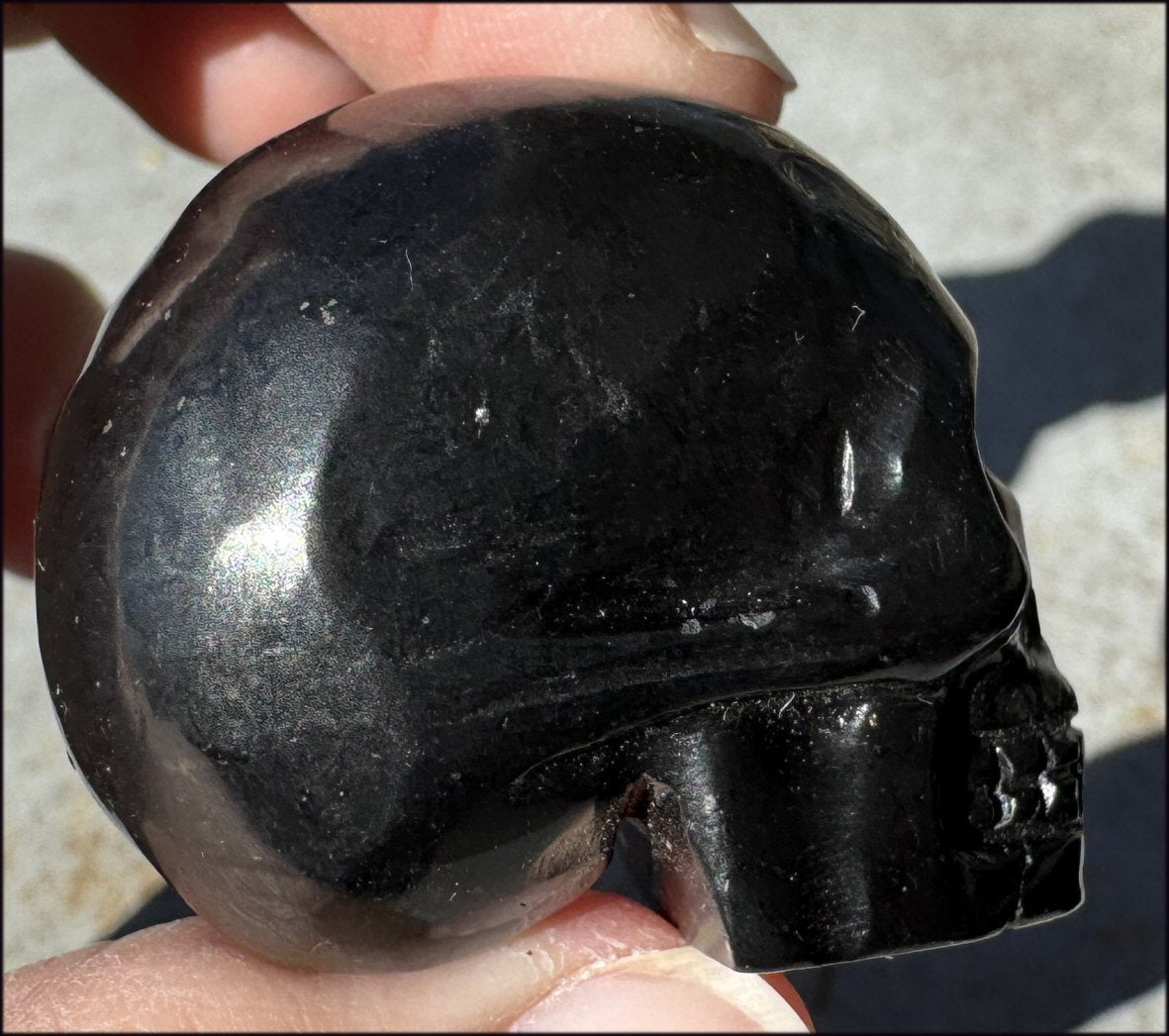 ~Rare!~ SHUNGITE Collector's Crystal Skull - Vitality, Grounding