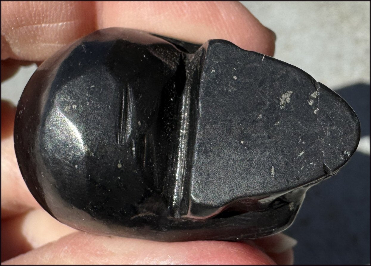 ~Rare!~ SHUNGITE Collector's Crystal Skull - Vitality, Grounding