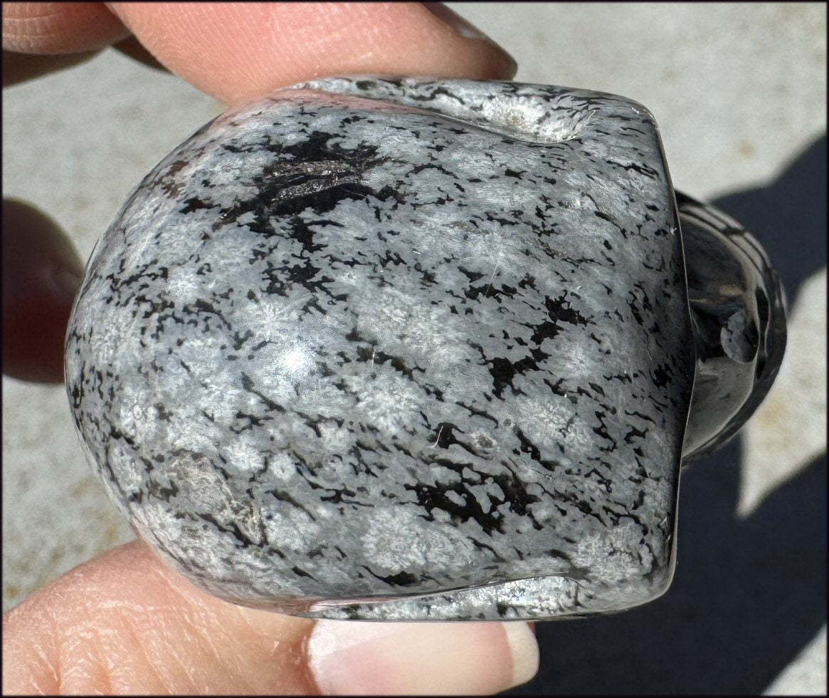 Snowflake Obsidian CRYSTAL SKULL - Release old habits - with Synergy 10+ years