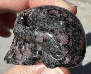 Rhodonite CRYSTAL SKULL - Unconditional Love, Open Heart Chakra