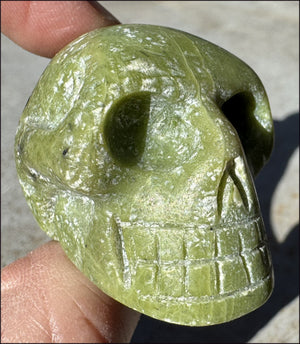 ~Beautiful!~ Serpentine CRYSTAL SKULL - Emotional Cleansing