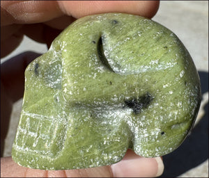 ~Beautiful!~ Serpentine CRYSTAL SKULL - Emotional Cleansing