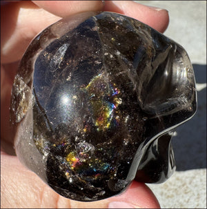 Lg. DARK Smoky Quartz Crystal Skull with Hematite, Rainbows - Dissolve negativity