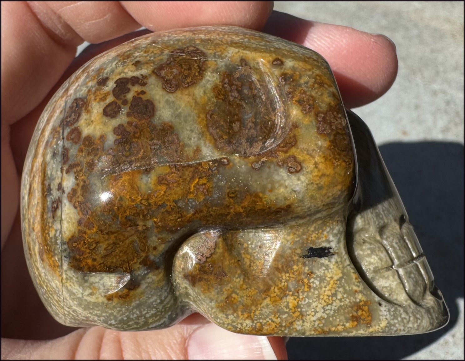 Lg. Nguni Jasper CRYSTAL SKULL - Connect with Mother Earth - with Synergy 5+ years